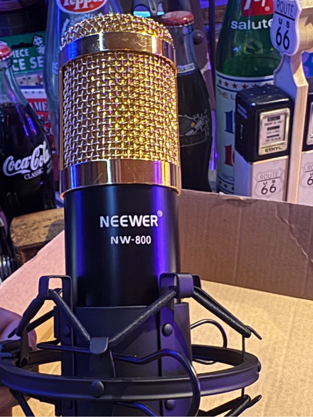 NW-800 Black and Gold Condenser Microphone